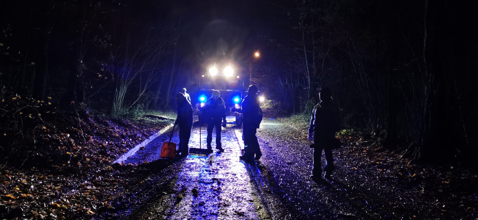 Forte vento e alberi sulla strada, tante chiamate tra Gorizia e Monfalcone